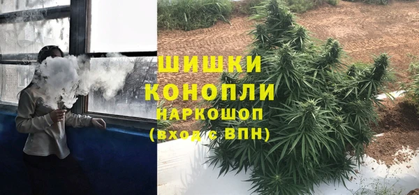 гидра Пересвет
