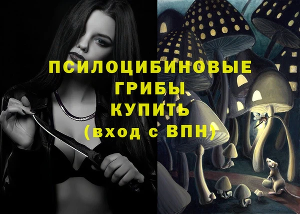 mix Абаза