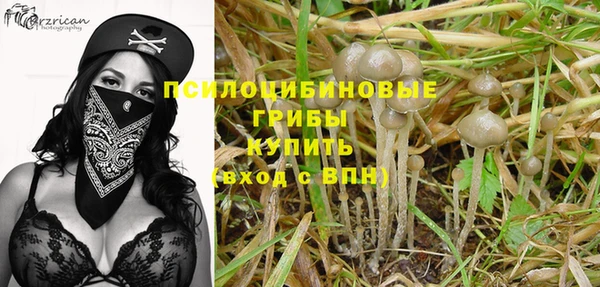 mix Абаза