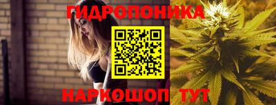 гидропоника Обь