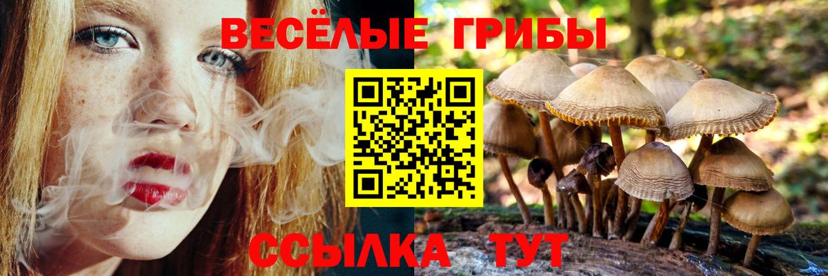 хочу   Псилоцибиновые грибы MAGIC MUSHROOMS  Вход с VPN  Отрадный 
