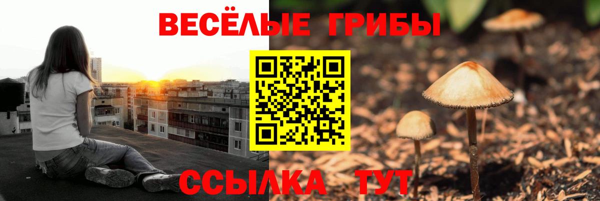 Псилоцибиновые грибы Magic Shrooms Отрадный